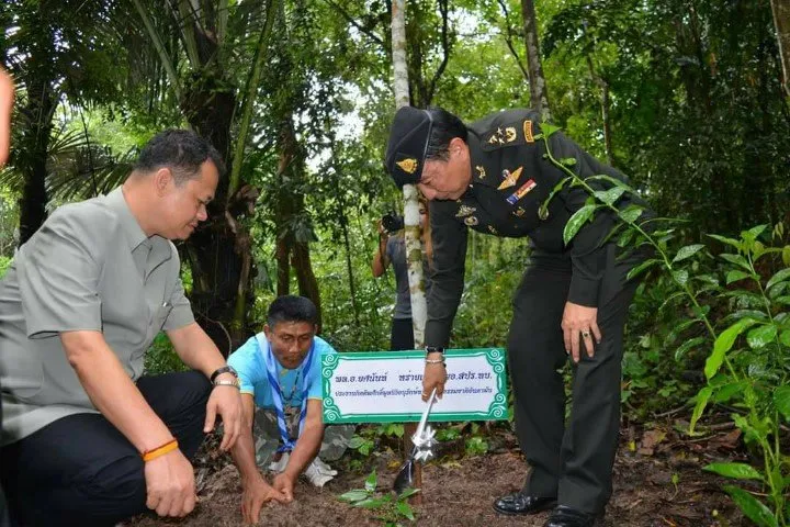 Agency representatives planting trees together in the forest